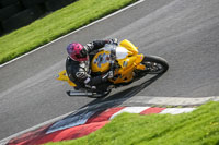 cadwell-no-limits-trackday;cadwell-park;cadwell-park-photographs;cadwell-trackday-photographs;enduro-digital-images;event-digital-images;eventdigitalimages;no-limits-trackdays;peter-wileman-photography;racing-digital-images;trackday-digital-images;trackday-photos